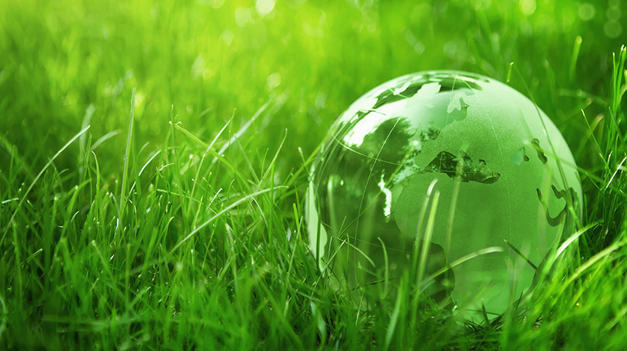 GREEN LOGISTICS